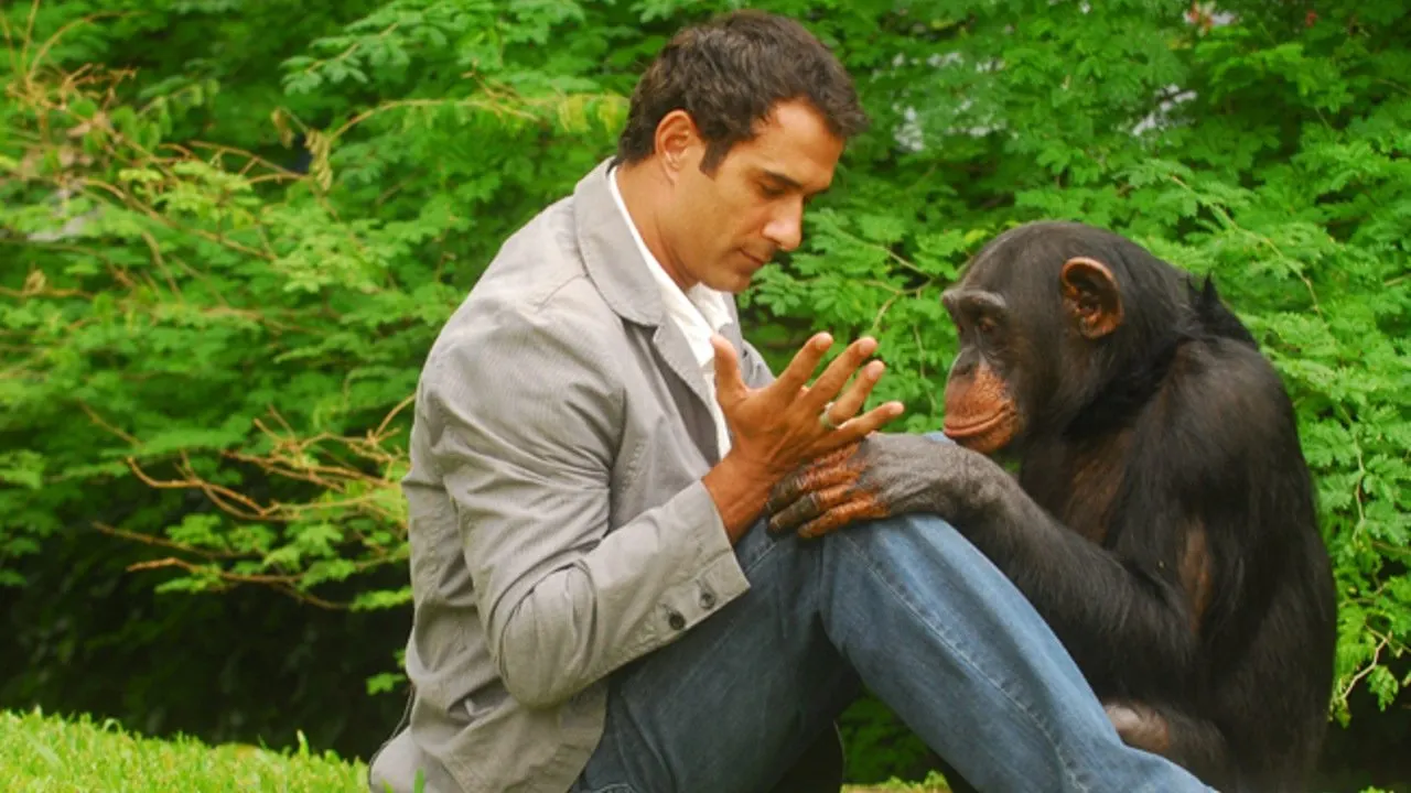 Cena de Caras & Bocas (2009)