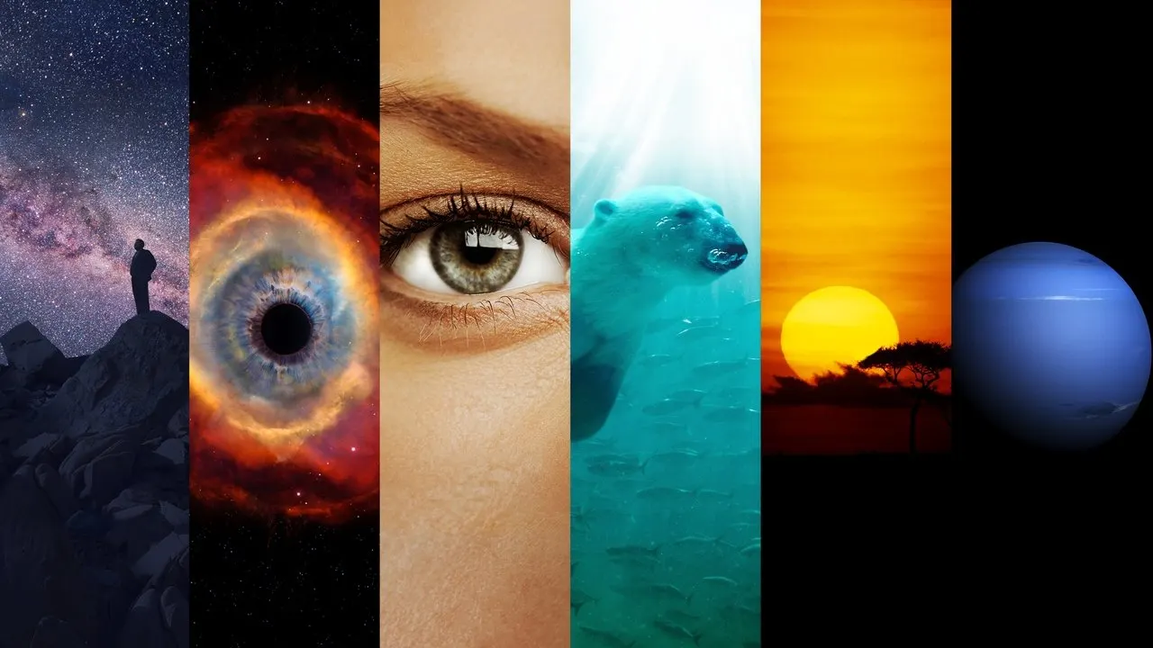 Cena de Cosmos (2014)