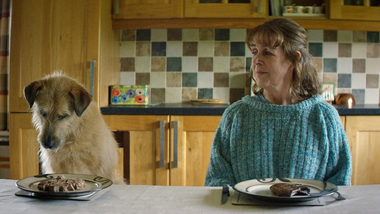 Cena de Meu Marido Virou um Cachorro (2022)