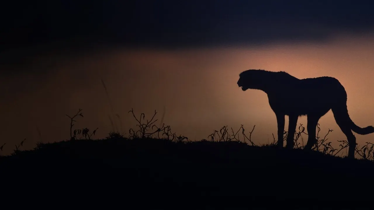 Cena de Kalahari: Terra das Alianças Secretas (2022)