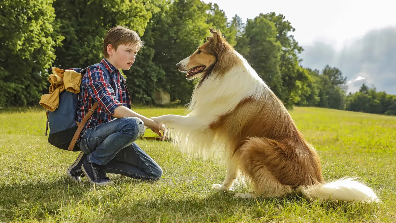 Cena de Lassie de Volta a Casa (2020)