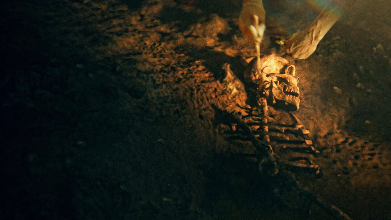 Cena de Os Segredos dos Neandertais (2024)