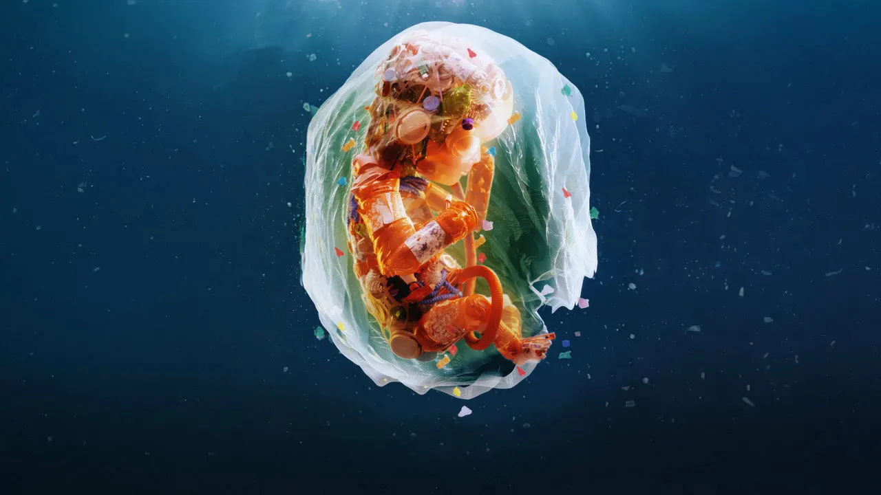 Cena de Feitos de Plástico (2024)