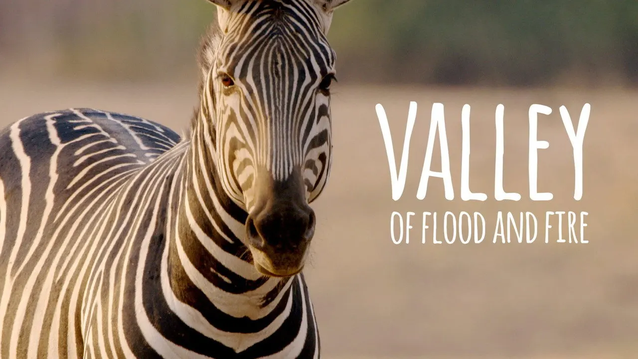 Cena de Vale das Inundações e do Fogo (2017)