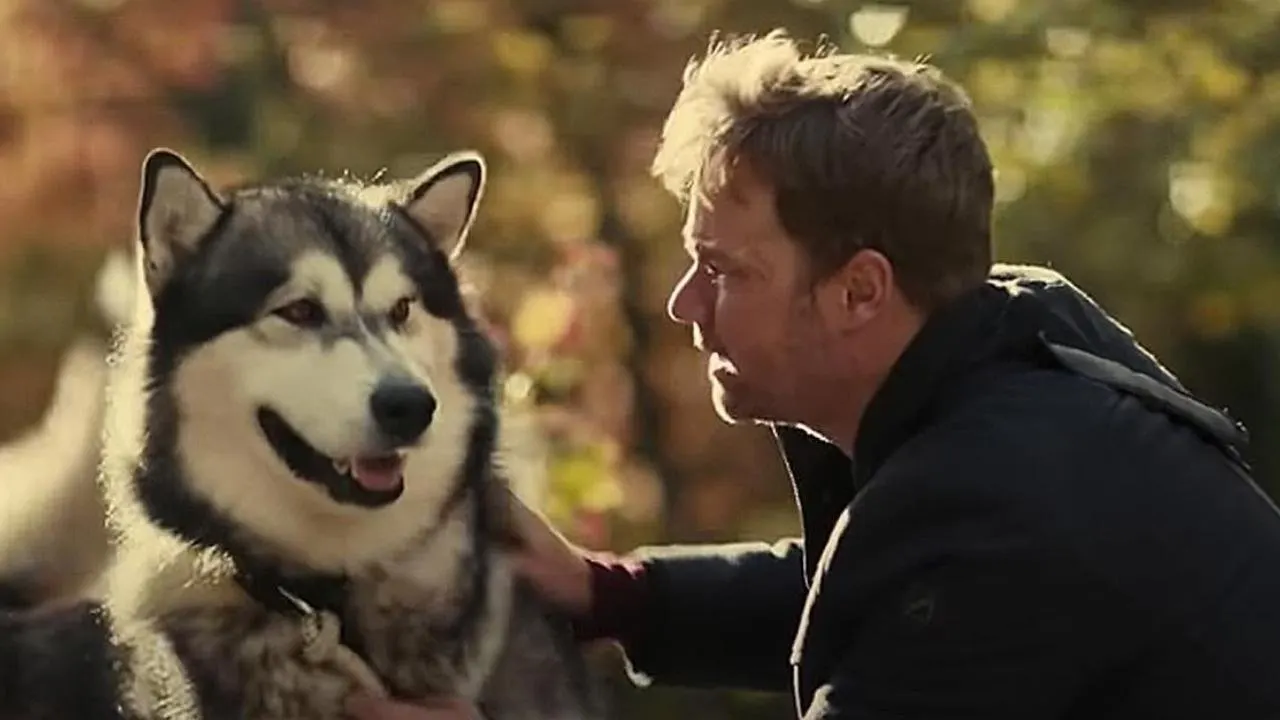 Cena de Uma Aventura Animal: A Jornada para Casa (2021)