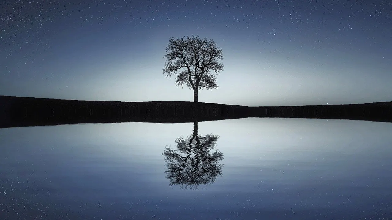 Cena de Deepak Chopra: As 7 Leis Espirituais do Sucesso (2008)
