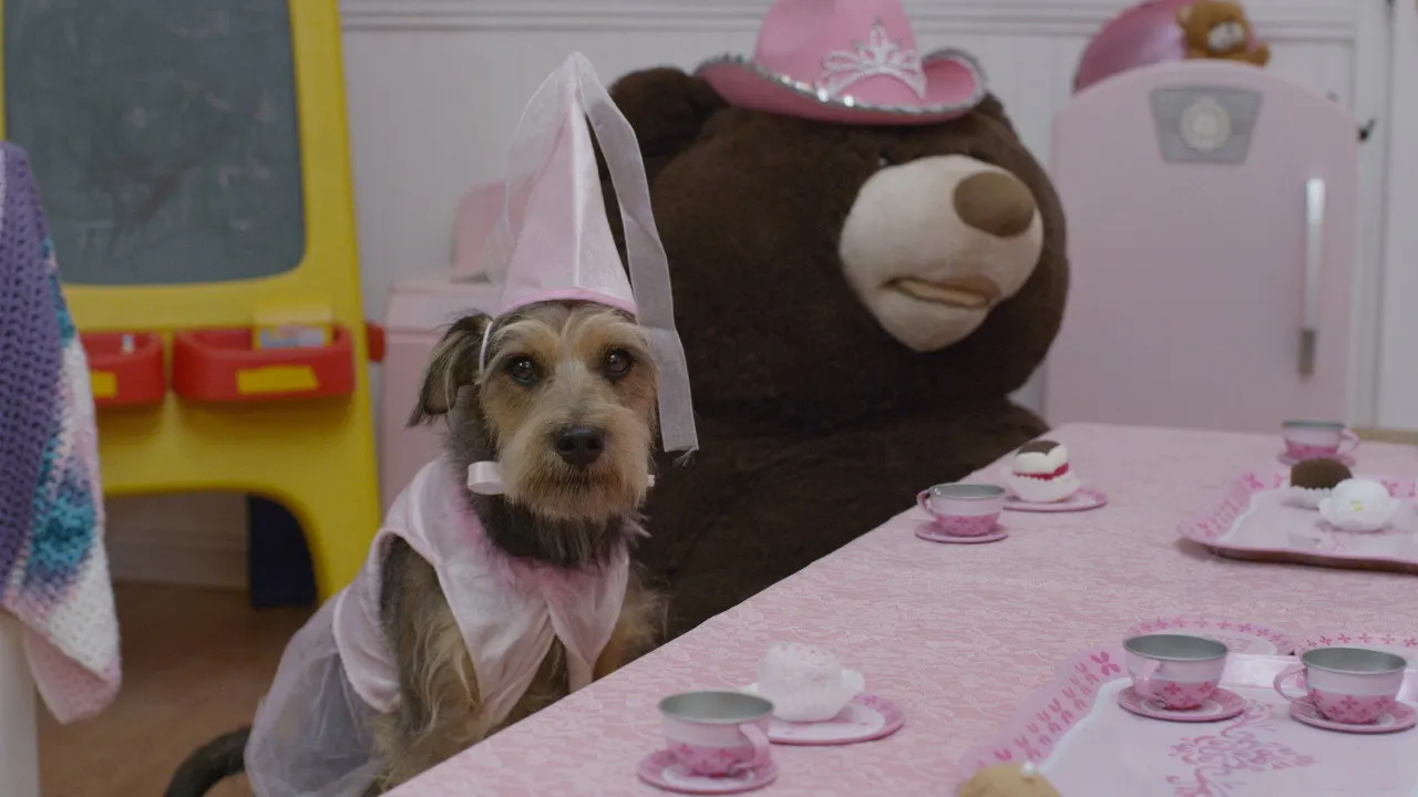 Cena de Meu Cachorro é um Robô (2017)