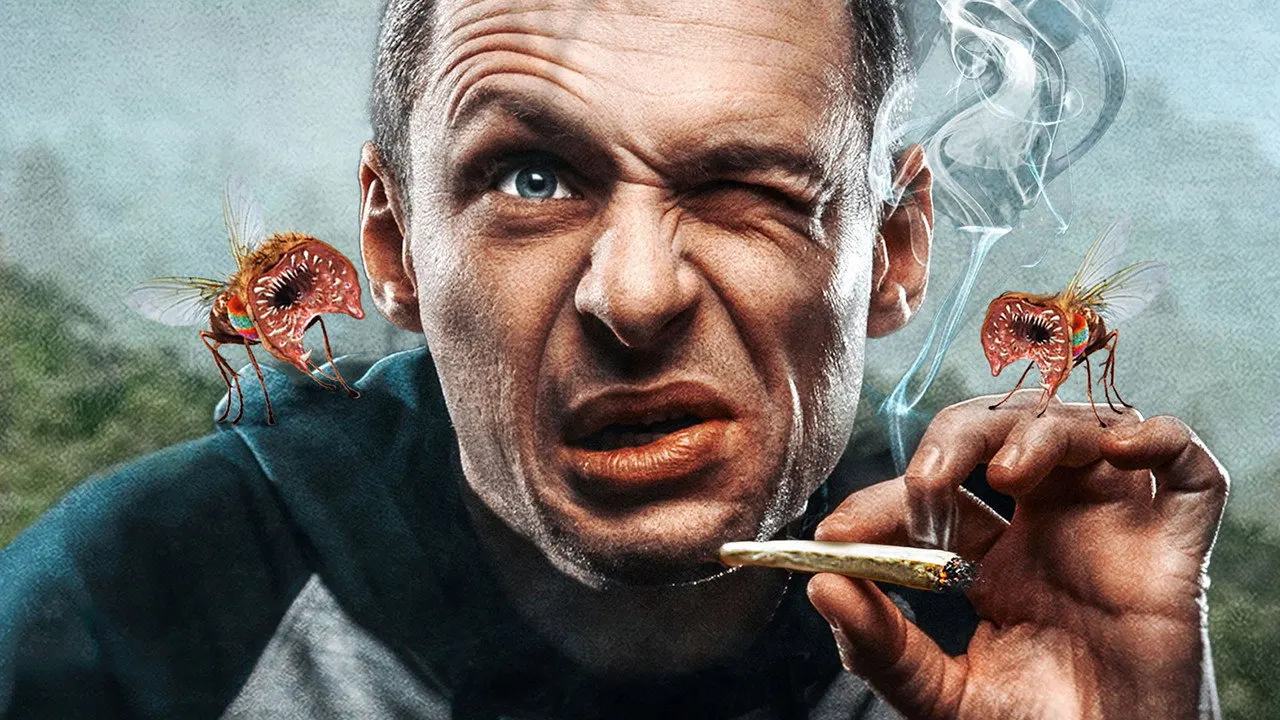 Cena de Mosquitos Assassinos (2018)
