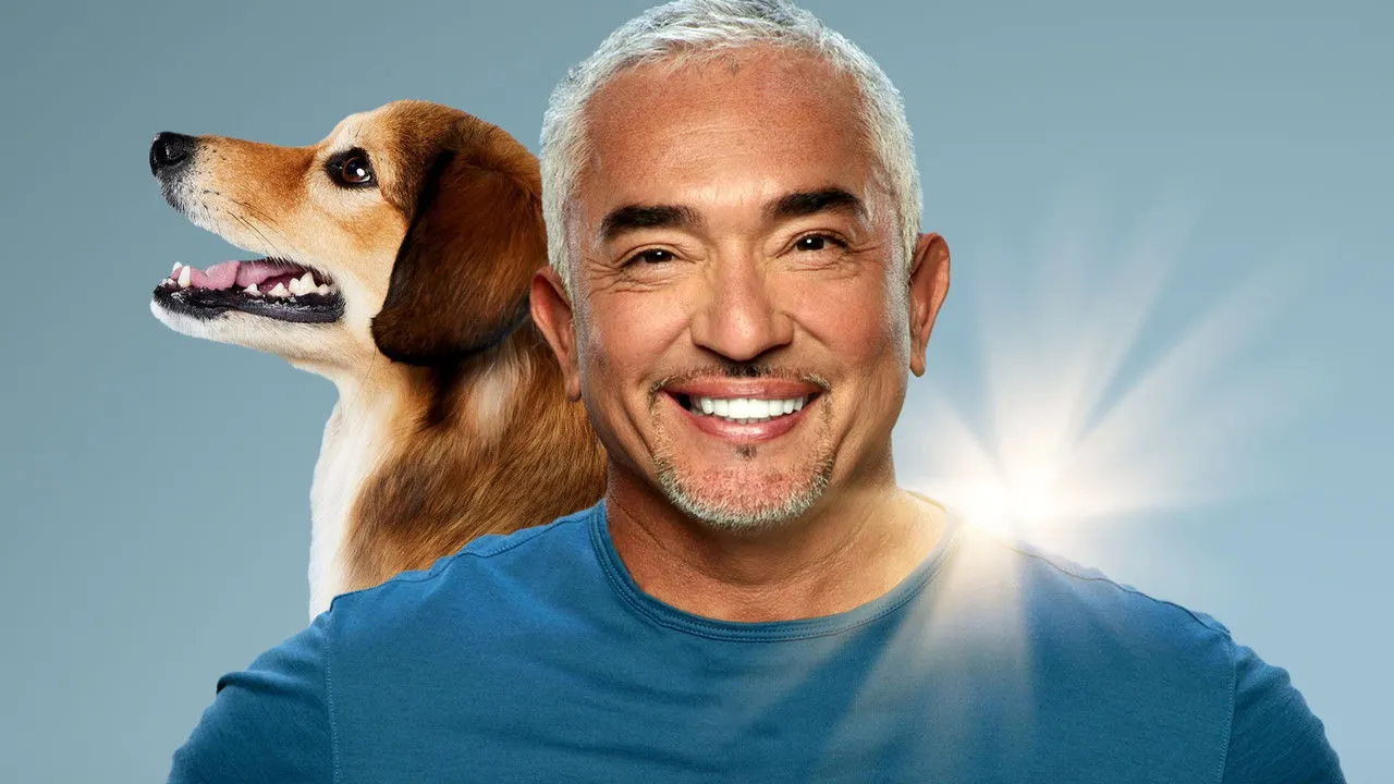 Cena de Cesar Millan: Melhores Humanos, Melhores Cachorros (2021)
