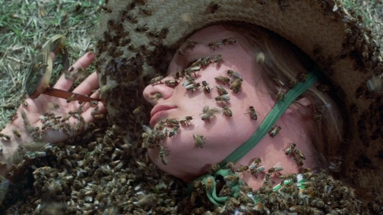Cena de O Enxame (1978)