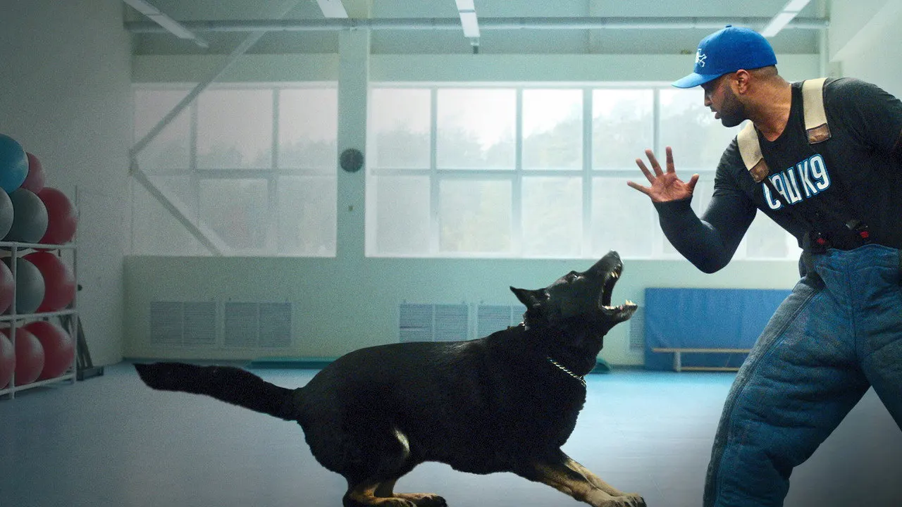 Cena de Intervenção Canina (2021)
