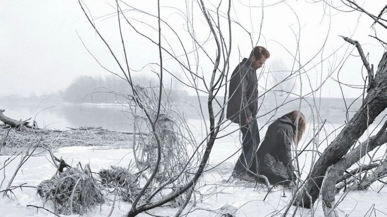 Cena de Anjos da Neve (2007)
