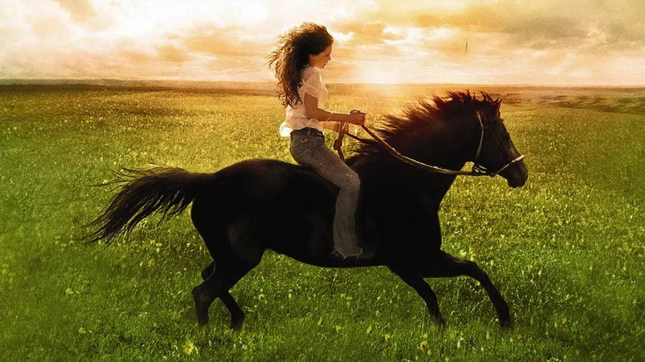 Cena de Flicka (2006)