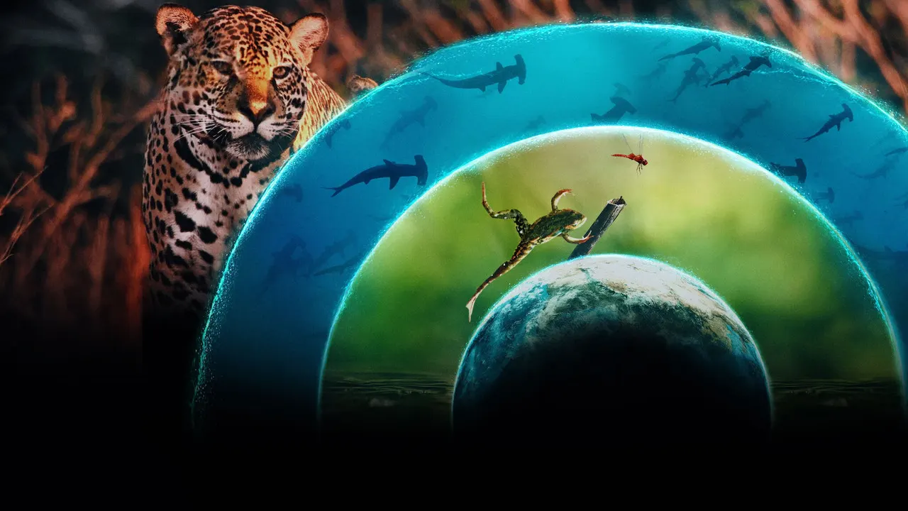 Cena de Planeta Vivo (2024)