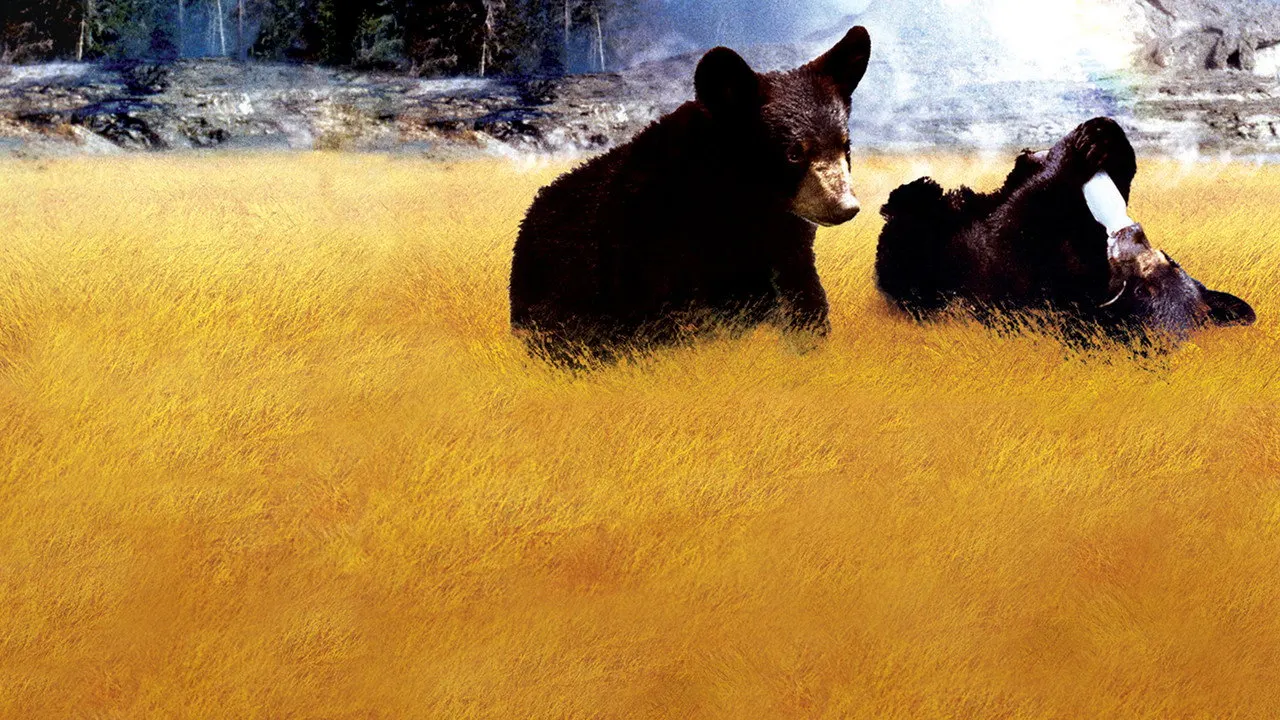 Cena de Os Ursinhos de Yellowstone (1963)