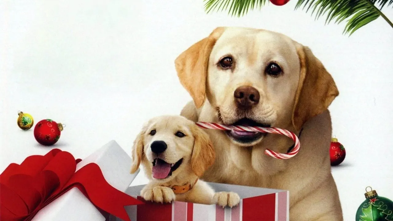 Cena de O Cachorro Que Salvou as Festas (2012)