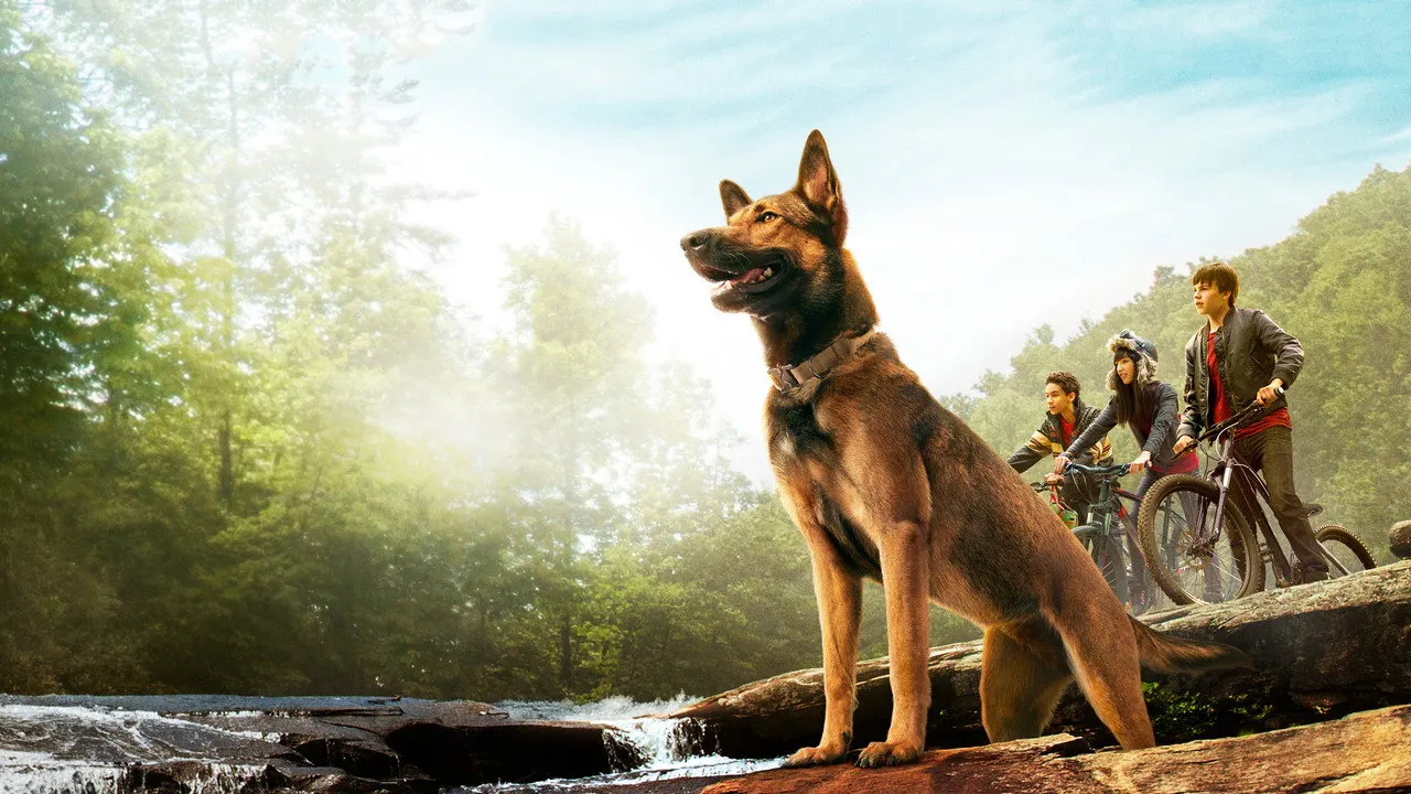Cena de Max: O Cão Herói (2015)