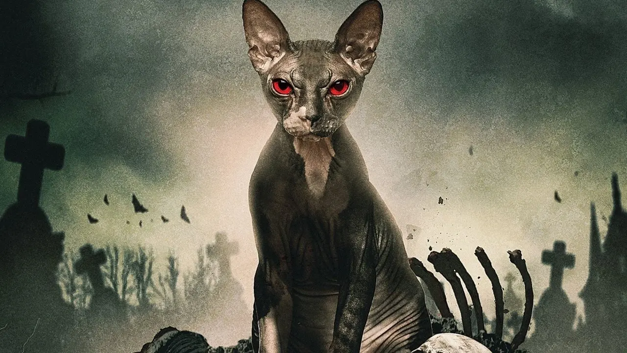 Cena de Aterro Maldito (2019)