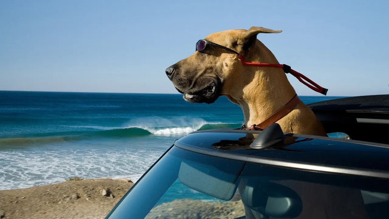 Cena de Marmaduke (2010)