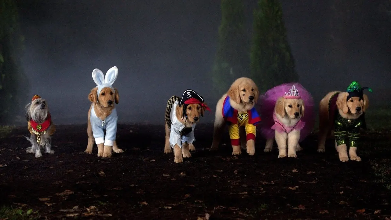 Cena de Spooky Buddies: A Casa Mal-Assombrada (2011)