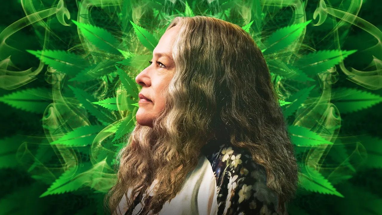 Cena de Disjointed (2017)