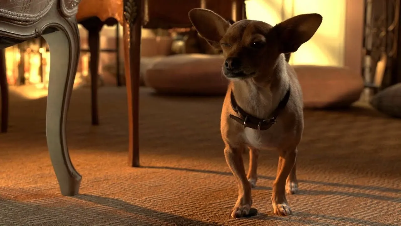 Cena de Perdido pra Cachorro 3 (2012)