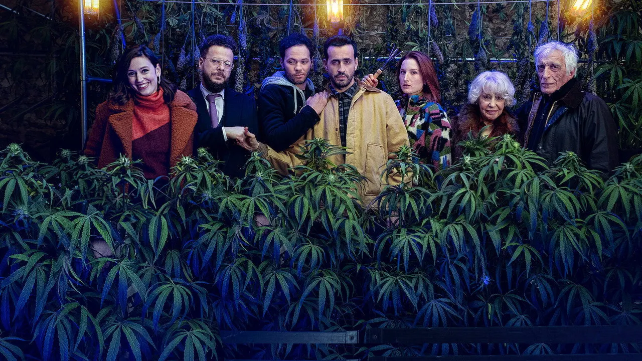Cena de Flagrantes de Família (2019)