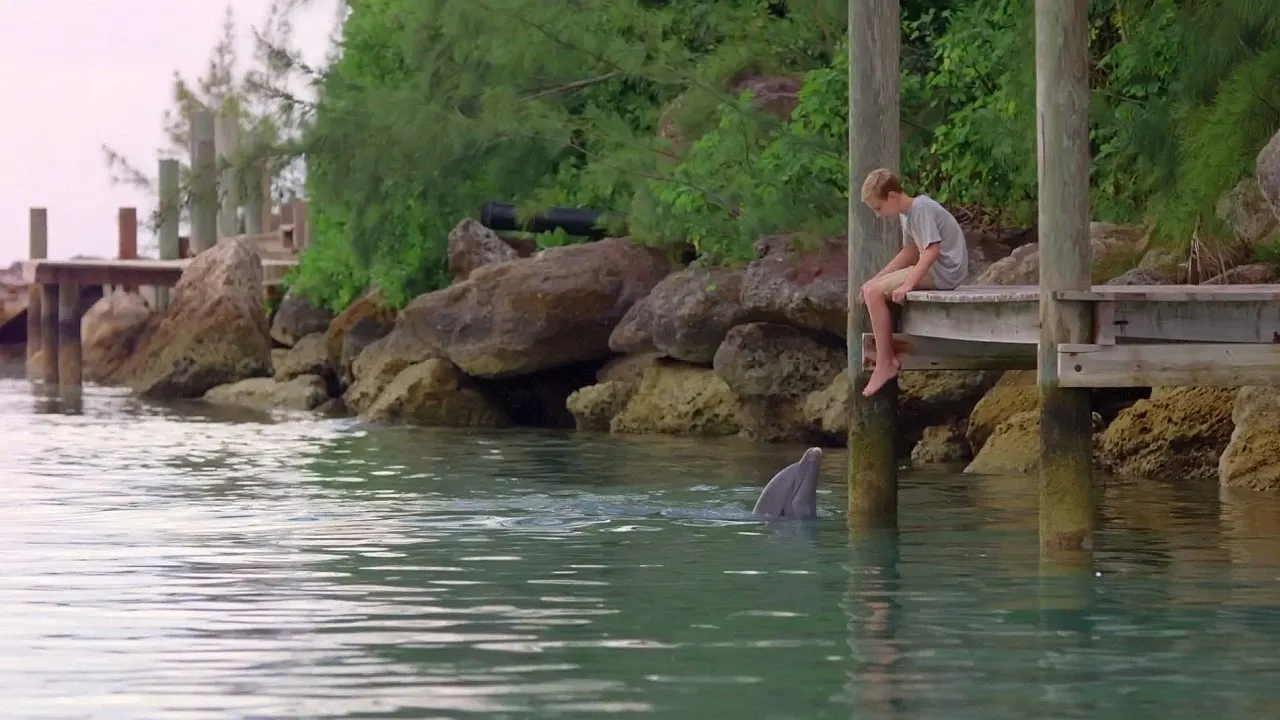 Cena de O Golfinho Kick (2019)