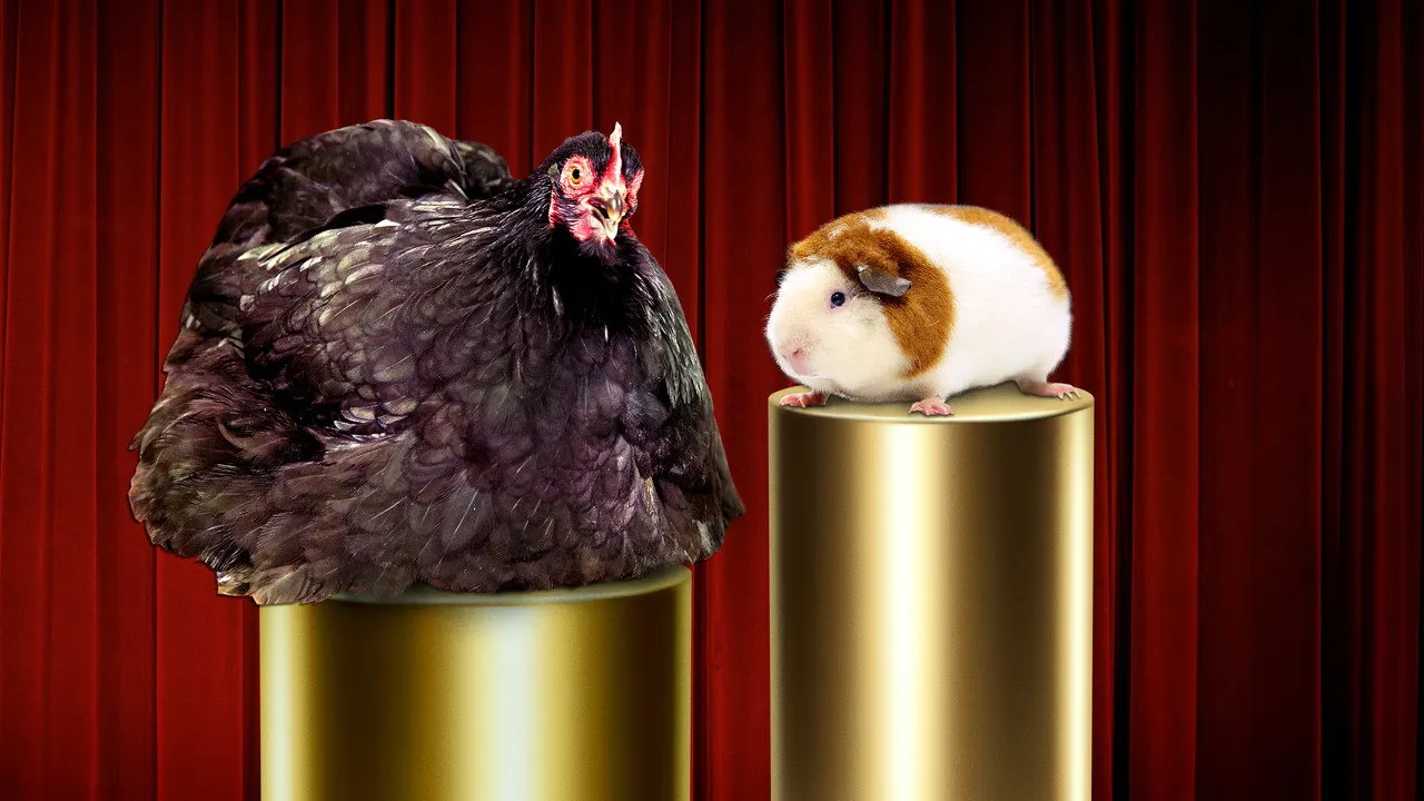 Cena de Mascotes Extraordinários (2023)