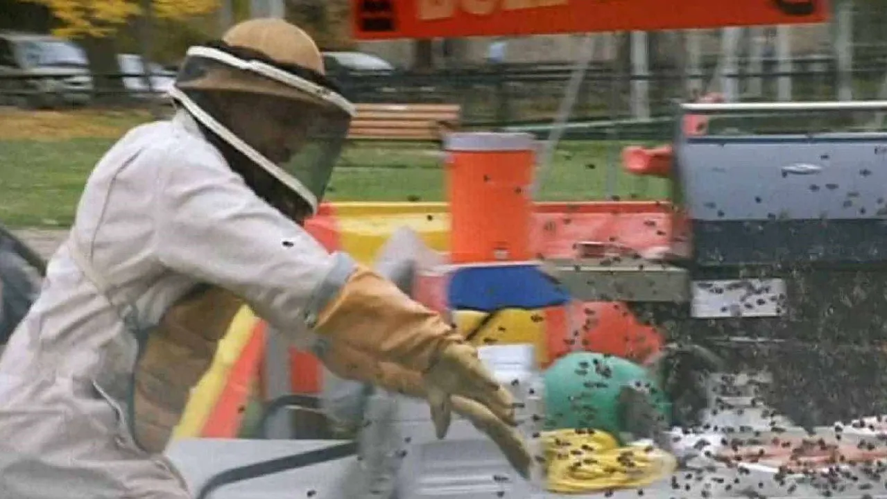 Cena de O Ataque das Vespas Mutantes (2005)