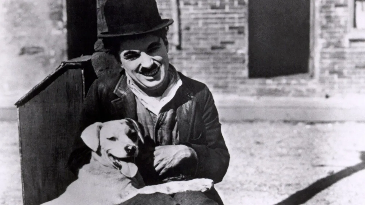 Cena de Vida de Cachorro (1918)