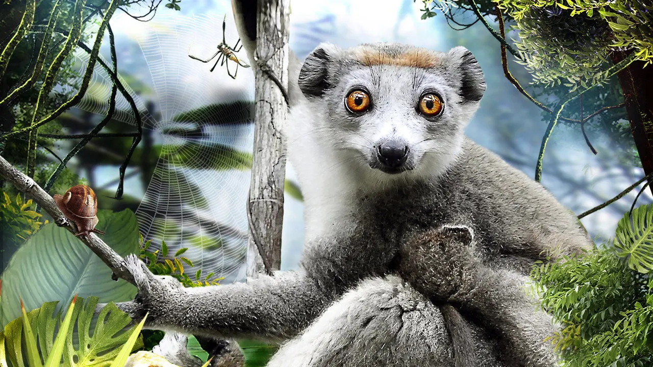 Cena de Madagascar 3D (2013)