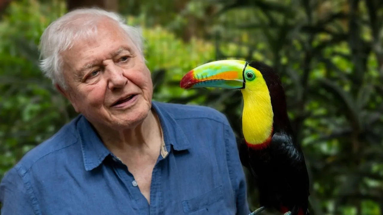 Cena de A Vida em Cores com David Attenborough (2021)