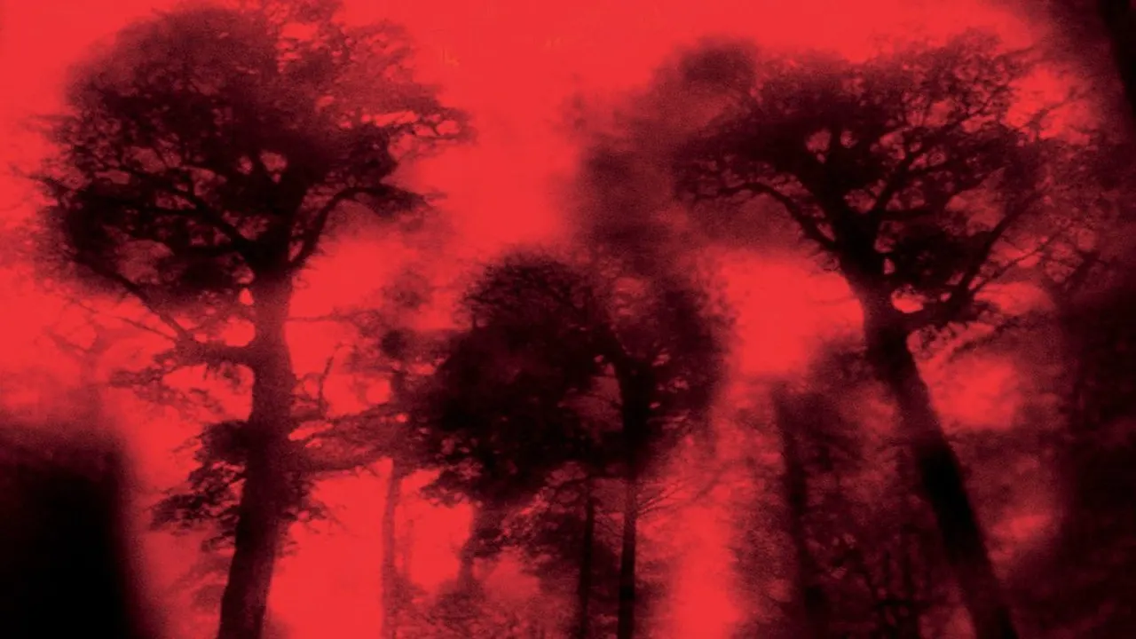 Cena de Cabana do Inferno (2003)