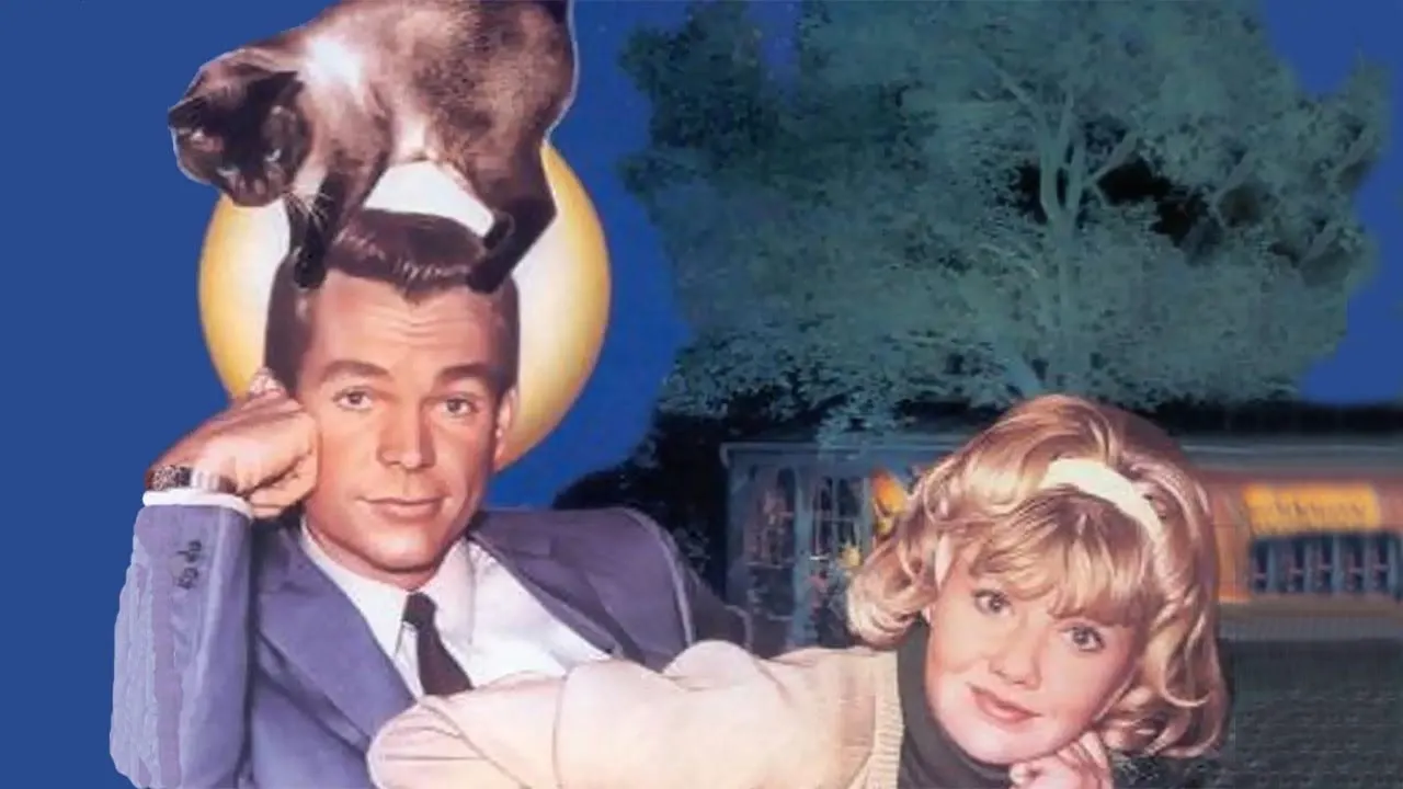 Cena de Aquele Gato Danado (1965)