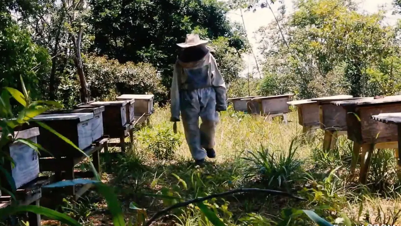 Cena de Néctar do Tempo (2024)