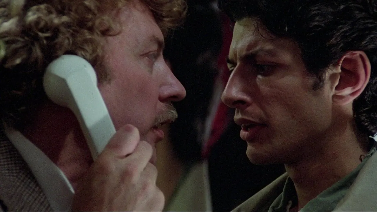 Cena de Os Invasores de Corpos (1978)