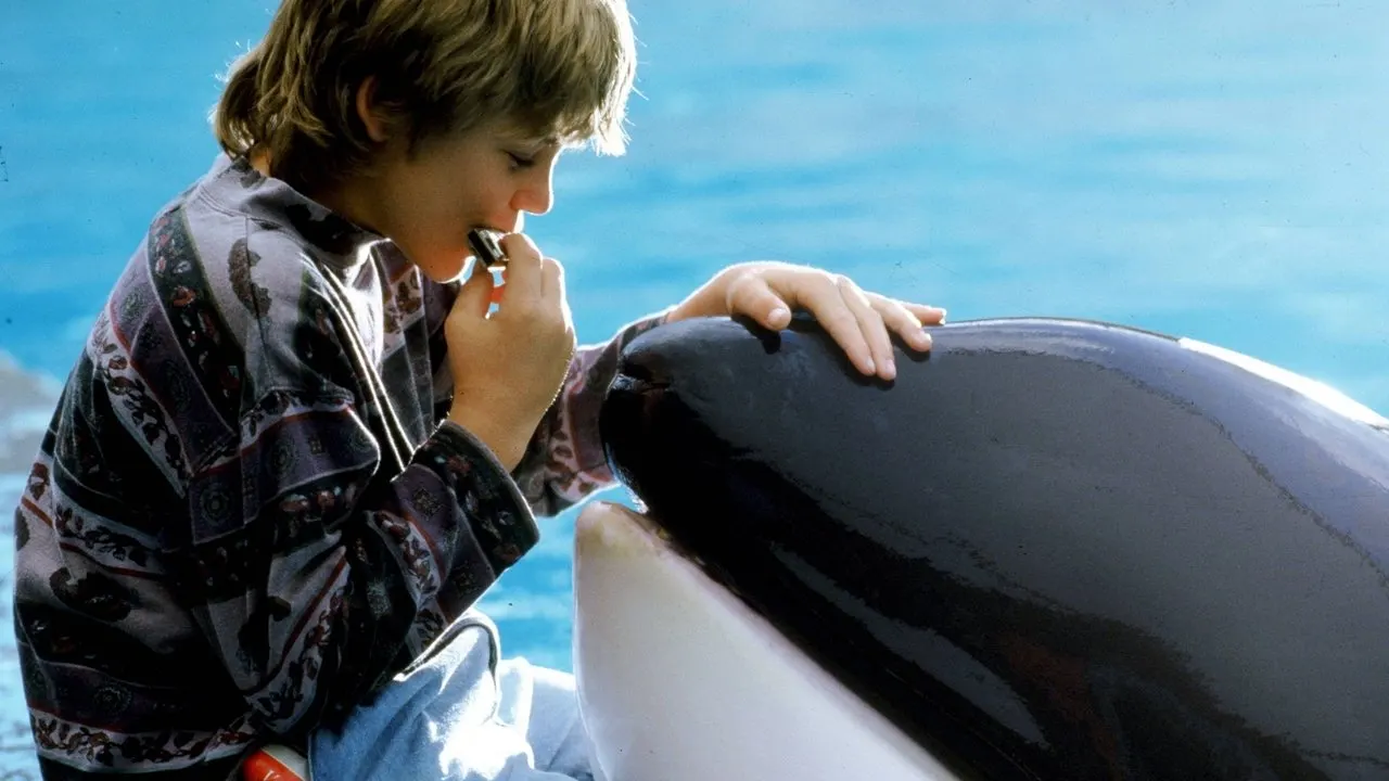 Cena de Free Willy (1993)