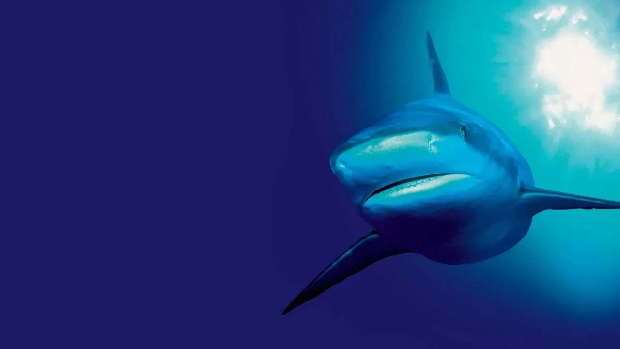 Cena de Planeta Azul (2001)