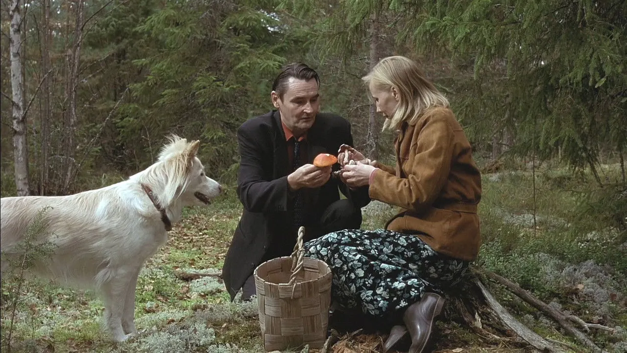 Cena de O Homem sem Passado (2002)