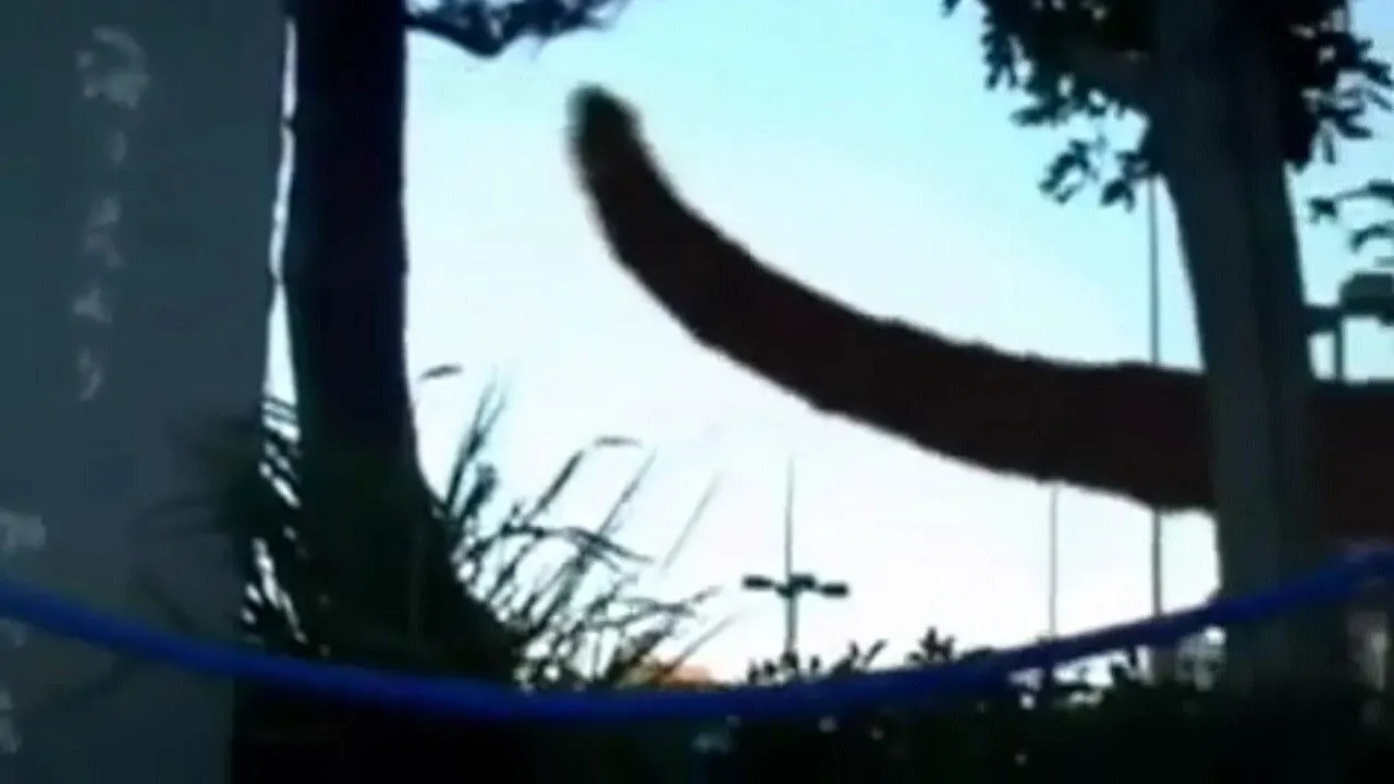 Cena de Monster (2008)