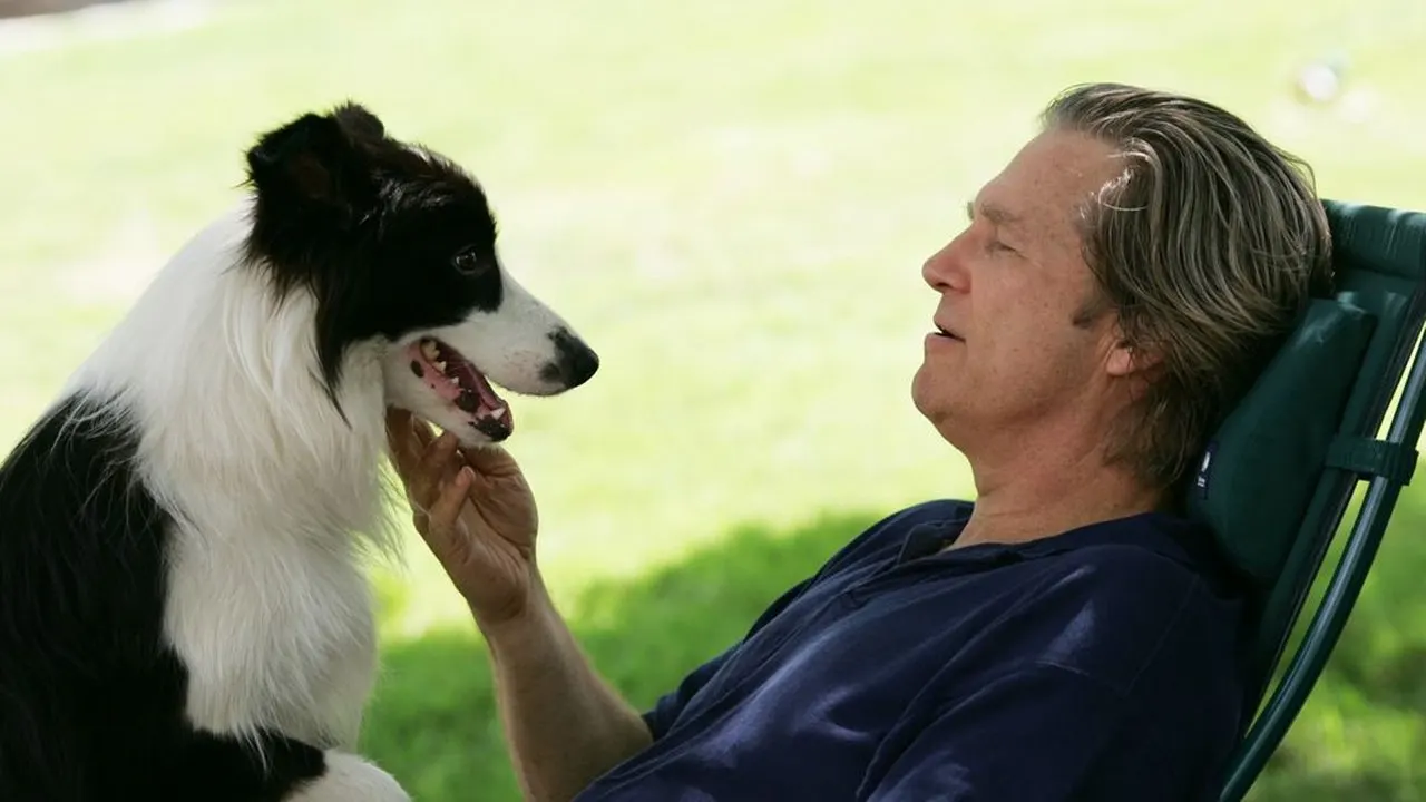 Cena de Um Ano do Cão (2009)