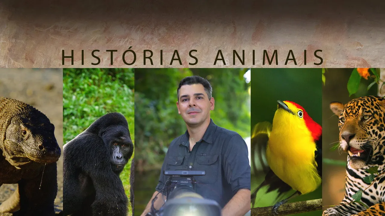 Cena de Histórias de Animais (2023)