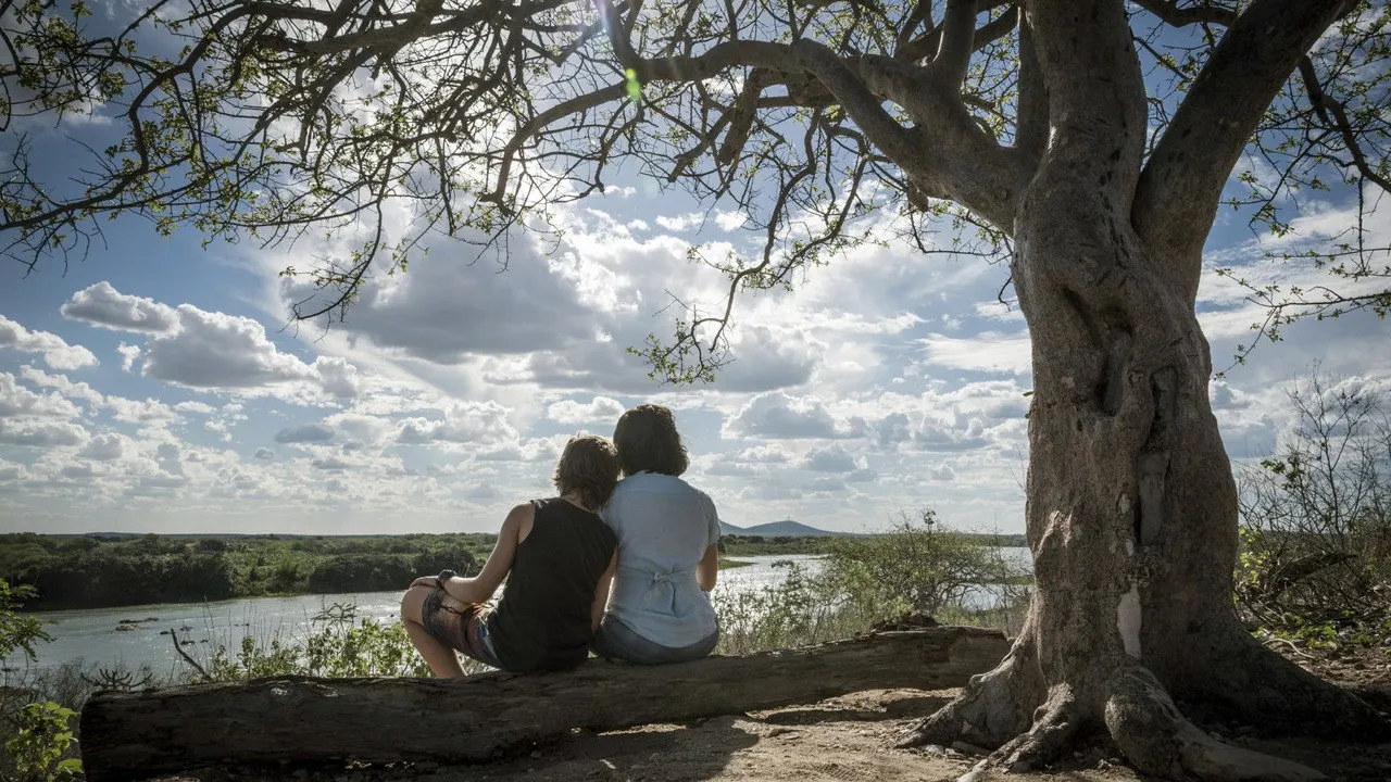 Cena de Acqua Movie (2019)