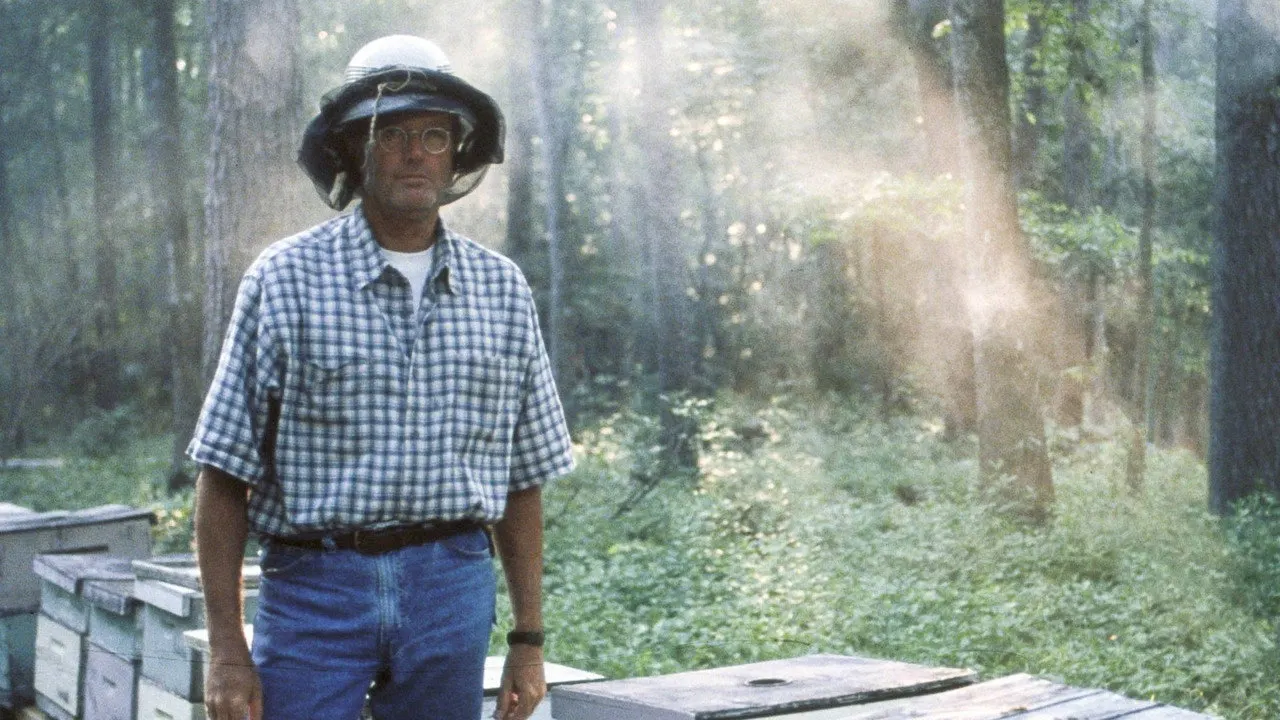 Cena de O Ouro de Ulisses (1997)