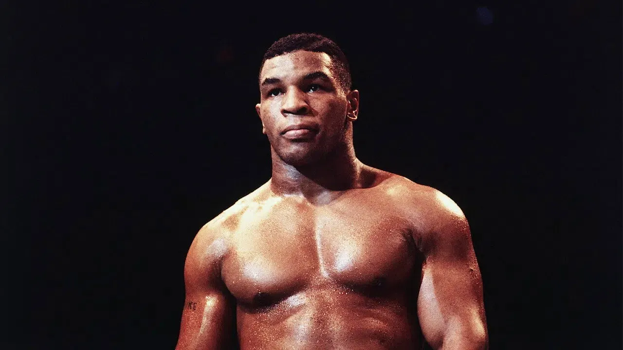 Cena de TYSON (2026)