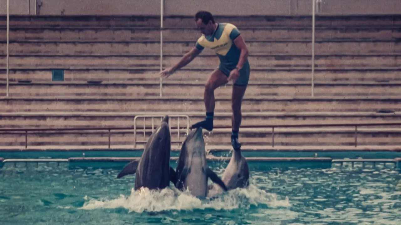 Cena de O Que Aconteceu com o Rei dos Golfinhos? (2022)