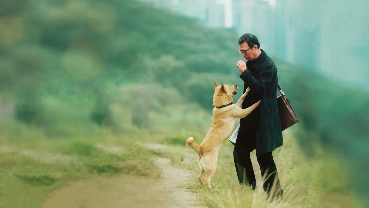 Cena de Hachiko Para Sempre (2023)