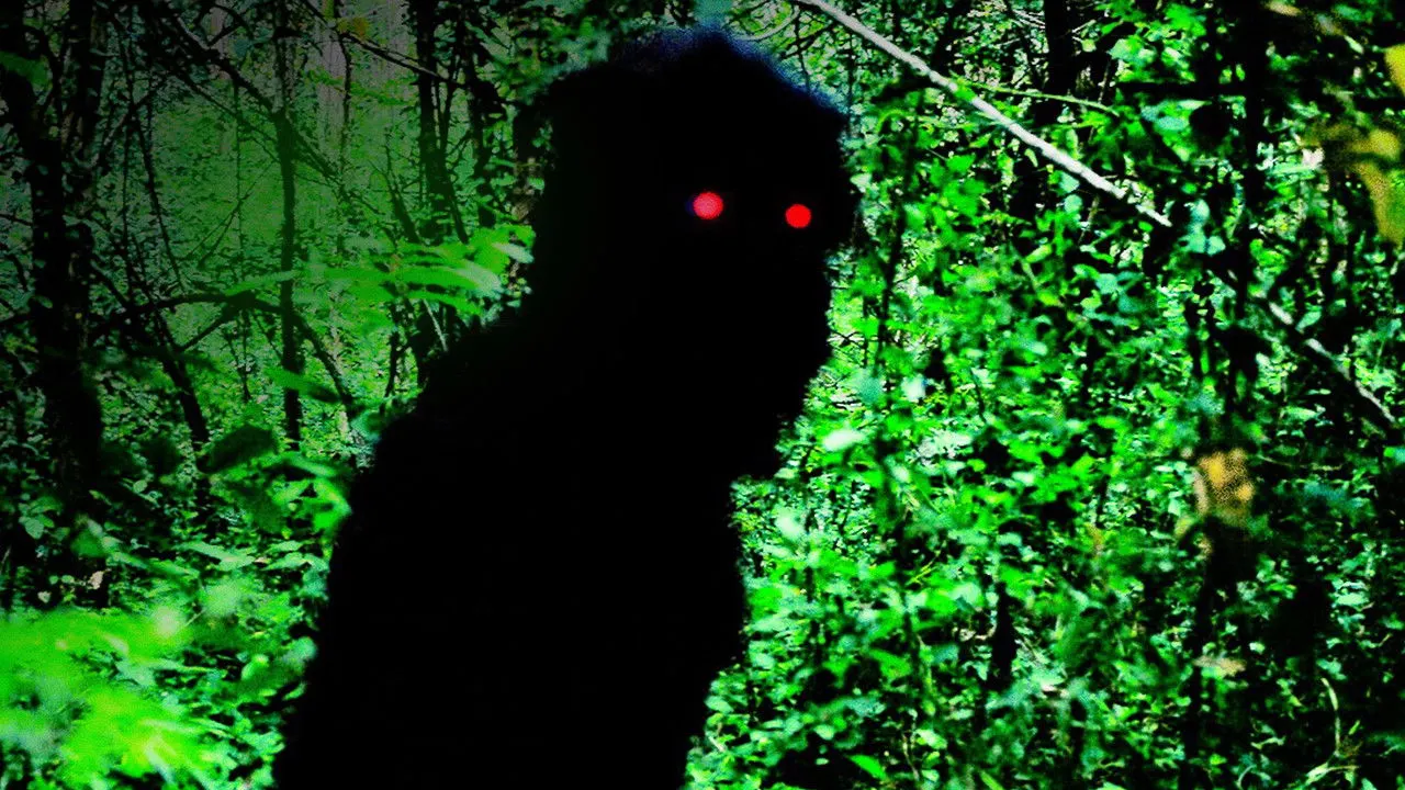 Cena de Tio Boonmee, que Pode Recordar Suas Vidas Passadas (2010)