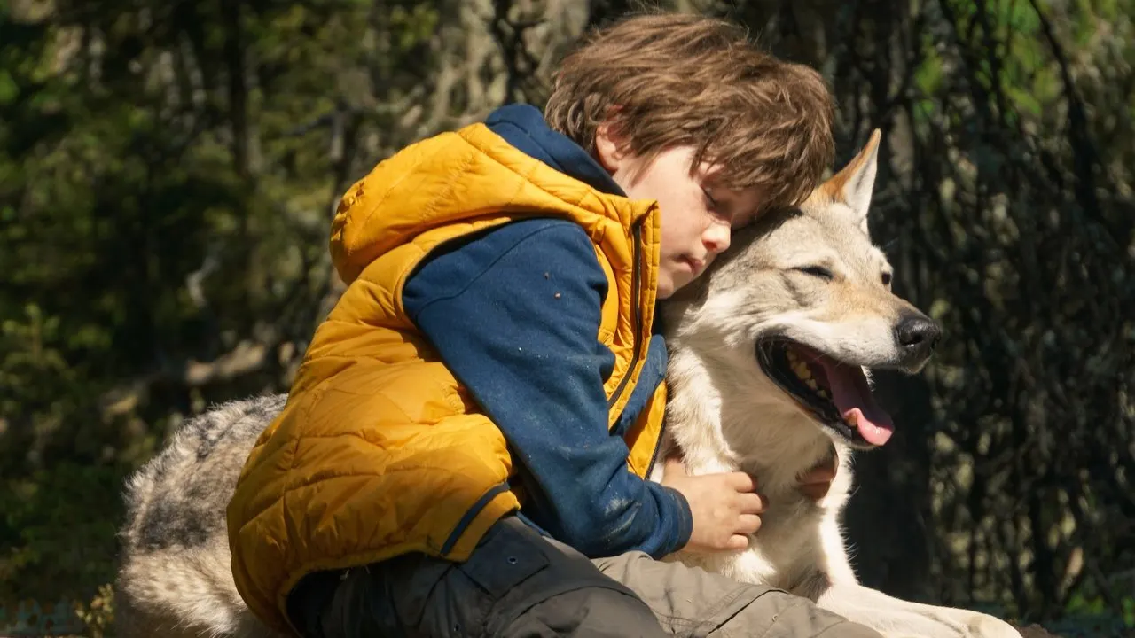 Cena de Bruno e o Lobo (2019)